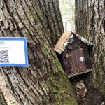 Home in Stone Valley