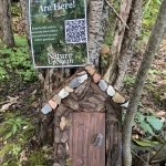 Brown wooden fairy house in woods with poster nailed to tree behind it