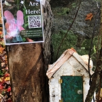 Image of a white birch fairy house nestled against a rock with a poster attached to tree