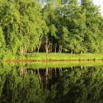 The Grasse River near Taylor Park, Summer 2018.