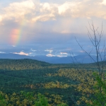 Featured photo for the month of July, 2018 Calendar