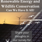 Renewable Energy and Wildlife Conservation survey poster - complete the survey for a chance to win $50!