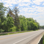Turtle crossing sign, Rt. 27 in Canton
