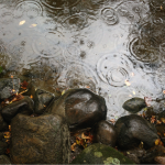 Ripple in Still Water. Photo by Jay Fuhrman.