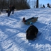The Flying Apple sled wrapped in recycled plastic bags speeds by the Senegal Sparks sled piloted by Team Leo