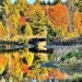 Fall colors along Brandy Brook in Waddington 
