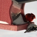 Cardinal and woodpecker meeting at the feeder