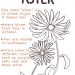Aster Coloring Page