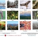 Back cover of calendar, with thumbnail photos of all 12 months and Nature Up North sponsor credits. 