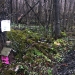 Fairy house at Indian Creek Nature Center
