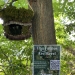 Brown bark covered fairy house hanging in tree with poster below it