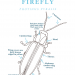 Common Easter Firefly