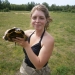 Blanding’s turtle captured after nesting in field.