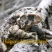 Toad with words "Happy Earth Day!"